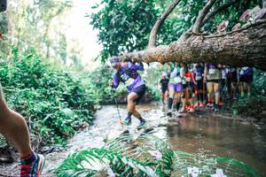 BIB: 
                            <button type="button" onclick="openModal(25467915)" class="btn btn-primary btn-sm float-right btn-popup" data-toggle="modal" data-target=".modal-high-quality">
                        <i class="fas fa-shopping-cart"></i> Add to Cart
                    </button>
                                            <button type="button" onclick="isThisMe(25467915, true)" class="btn btn-success btn-sm float-right btn-popup btn-isme hidden" data-toggle="tooltip" data-placement="bottom" title="นี่คือรูปของคุณใช่ไหม คลิกที่นี่เพื่อเอาเข้าอัลบั้ม">
                        <i class="fas fa-plus"></i> Add to album
                    </button>
                    <button type="button" onclick="isThisMe(25467915, false)" class="btn btn-warning btn-sm float-right btn-popup btn-isnotme hidden">
                        <i class="fas fa-ban"></i> Remove from album
                    </button>